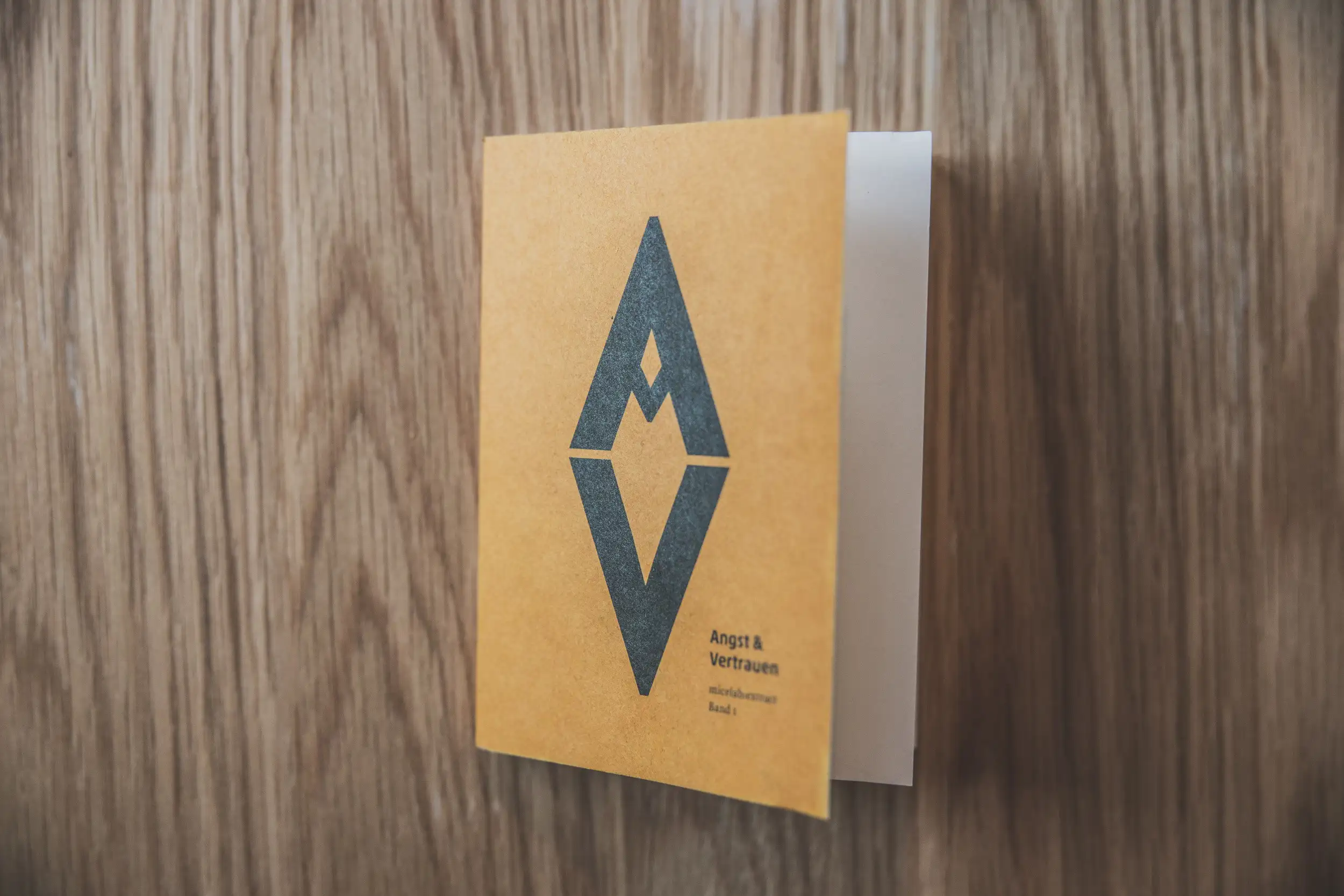 © Magdalena Türtscher Erkenntnisse aus dem “micelab:bodensee” in Buchform © Magdalena Türtscher